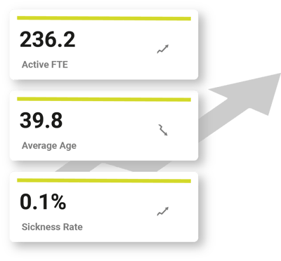 Personalanalytische Kennzahlen aus Personio-Daten in Jedox